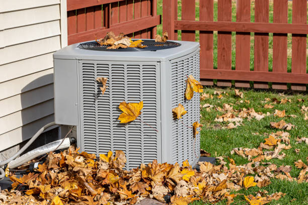 Best HVAC Tune-Up Services  in Waverly, OH